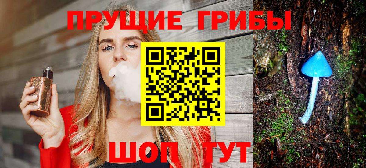 Псилоцибиновые грибы Psilocybe Чебаркуль